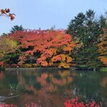 Conversa - 雲場池の紅葉