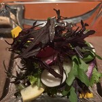 メゾン ド ヴァン 鶉亭 - 