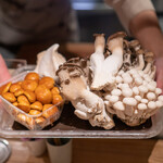 ARMONICO - きのこ達…