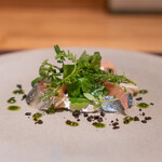 ARMONICO - 津久見市無垢島　　鯖　