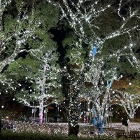 アルティザン ドゥ ラ トリュフ パリ - 