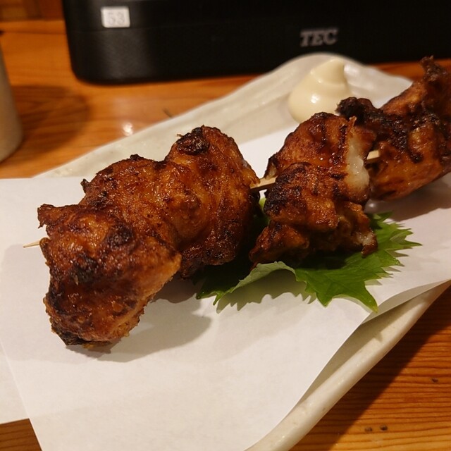 Tori Kizoku Toyota Ten photo 3