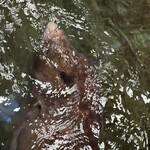 食事処マルタ活魚 - 