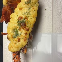 赤坂 津つ井 総本店 -  赤坂 津つ井 総本店 -