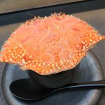 日本料理 TOBIUME - ⑨台湾蝤蛑(タイワンガザミ、福岡県豊前産、青紫)のビスク餡掛け椎茸(福岡県若松産)入り茶碗蒸し 
      蝤蛑(渡り蟹)は緑色、台湾蝤蛑は青紫で見た目で直ぐに分かりますが、茹でるとどちらも朱色、見分けつかず