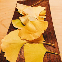 本湖月 -  本湖月 -