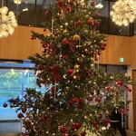 MORETHAN TAPAS LOUNGE - 