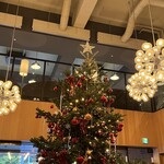 MORETHAN TAPAS LOUNGE - 