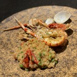 ベルソーニョ - 