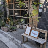 セルサルサーレ - 