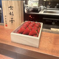 スガラボヴィー - 