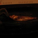 龍之介 - ままかり