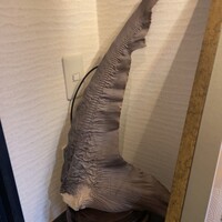 赤坂  華悦樓 - 