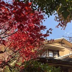 イチリン ハナレ - 