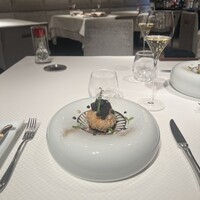 ジョンティ アッシュ - 