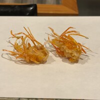 天白 - 