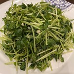 中華料理 蜀香園 西新宿 - 