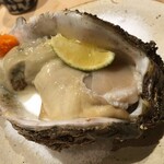 すしやのたい悟 - すしやのたい悟　徳島岩ガキ