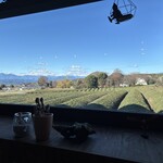 ユホビカフェ - 