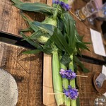 Terroir愛と胃袋 - 