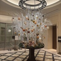 カントニーズ 燕 - 