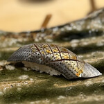 箱崎町すみと - 