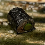 箱崎町すみと - 