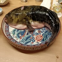 法善寺 浅草 - 