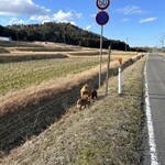 カフェミロク - 近くで見つけた