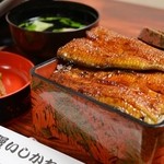 鰻いしかわ - 料理写真: うな重（竹）　４０００円　鰻１本