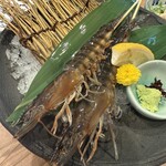 一丁 - 海老のおどり食い