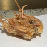 天婦羅 くすのき - 