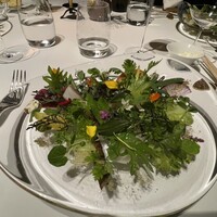 レフェルヴェソンス - 