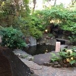 母屋　虎幻庭 -  池もあります