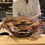 日本料理 かしづき - 松葉蟹