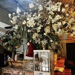 ジェイティード - 