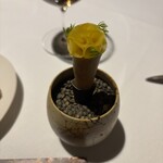 ラ・ヴァガボンド - レンズ豆と北寄貝のクミンを効かせたサラダと金美人参を巻いたクレープ