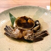 乃木坂 結 -  乃木坂 結 -