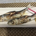 旬食健美  田しろ - 