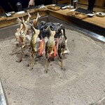 277104390 - 