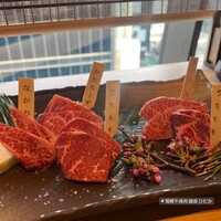 尾崎牛焼肉 銀座 ひむか - 