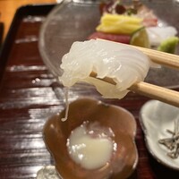 御料理 古川 - イカが新鮮です♪