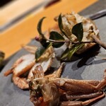 伊藤家のつぼ - 