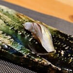 伊藤家のつぼ - 