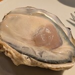 福島 牡蠣と肉たらし ビストロKAI - 