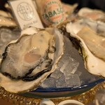 福島 牡蠣と肉たらし ビストロKAI - 