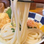 讃岐うどん　志成 - 
