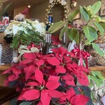 ティールーム　エメラルド - 