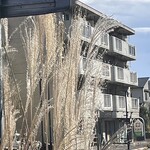 レイドバックバーガー - 