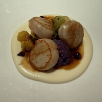 Benoit Alain Ducasse - 